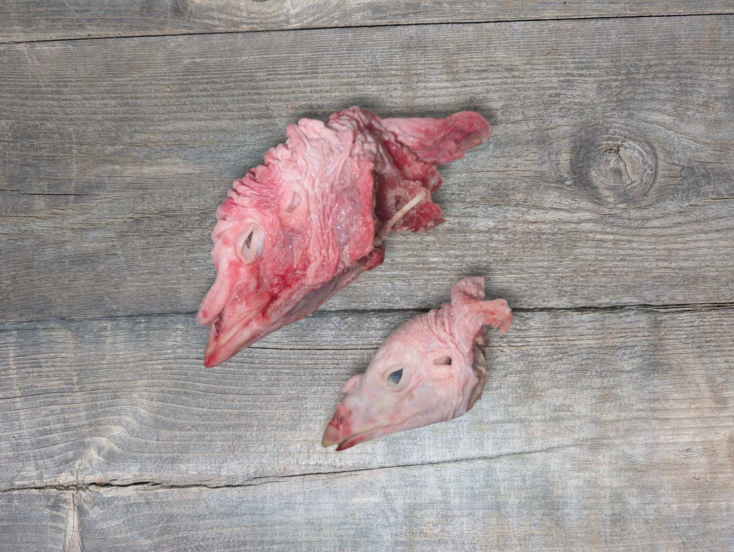 Raw Turkey Heads