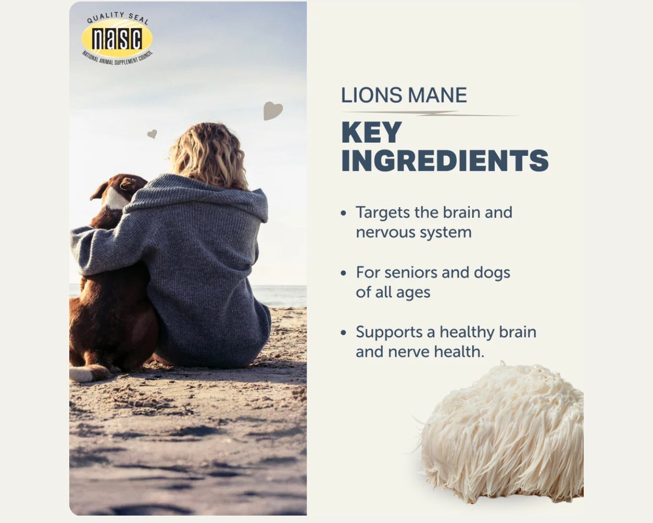 Lions Mane Mushroom - Four Leaf Rover