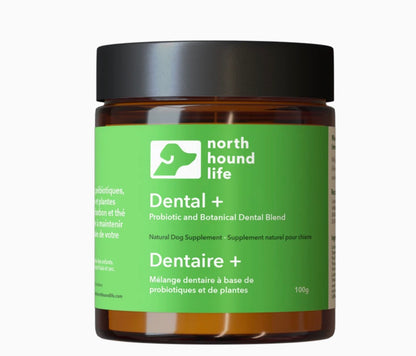 Dental +