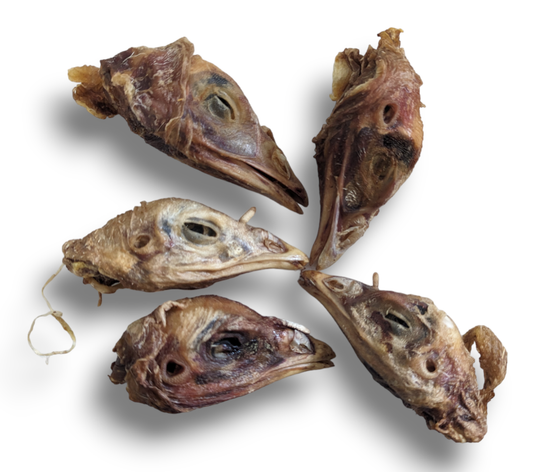 Turkey Head
