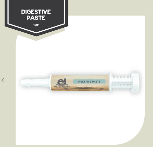 Digestive Paste - Raw Performance