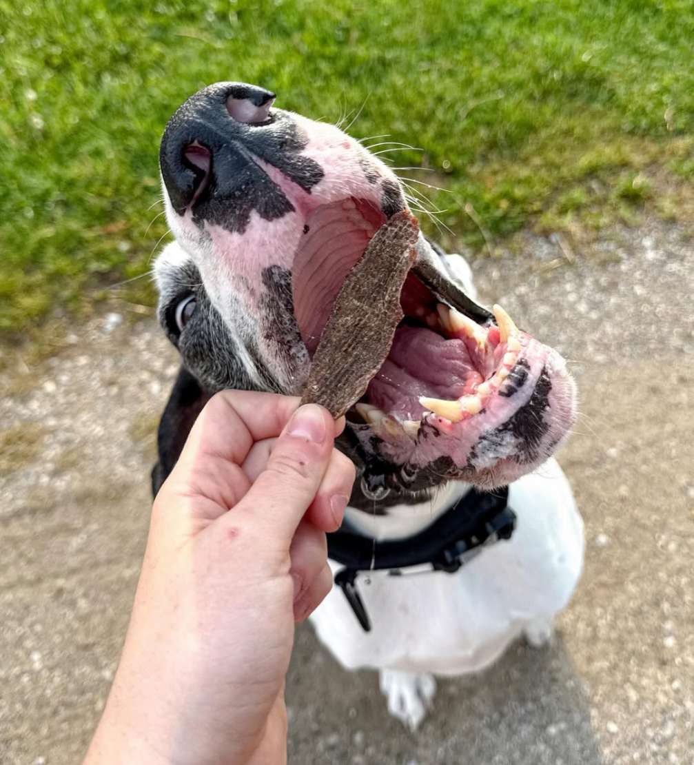 80g Duck Jerky